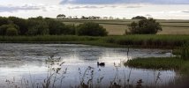 'View From The Hide' by Gerry Simpson ADPS LRPS