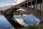 'Berwick' by Gordon Charlton