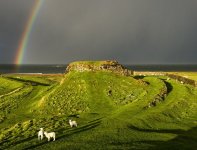 'Holy Island' by Gordon Charlton