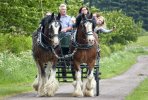 'Carriage Ride' by Ian Atkinson ARPS