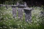 'Cow Parsley Amongst The Graves' by Ian Atkinson ARPS