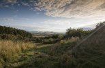 'Ford Moss Towards Ford' by Ian Atkinson ARPS