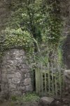 'Old Gate At Bridge' by Ian Atkinson ARPS