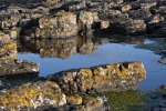 'Rock Pool' by Ian Atkinson ARPS