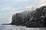 'The Mist Clears Over The Farne Islands' by Jane Coltman CPAGB