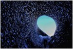 'Ice Cave' by Jane Coltman CPAGB
