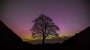 'Sycamore Gap Aurora' by Jane Coltman CPAGB