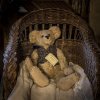 'Teddy' by Jane Coltman CPAGB