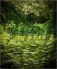 'Wallington Greens' by Jane Coltman CPAGB