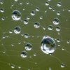 'Web Design' by Jane Coltman CPAGB