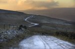'Winter's Walk' by Jane Coltman CPAGB