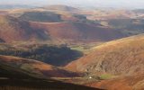 'Cheviot Foothills' by Jean Findlay