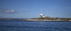 'Coquet Island' by John Strong