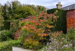 'Autumn Leaves' by John Thompson ARPS EFIAP CPAGB 