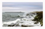 'Coquet Island' by John Thompson ARPS EFIAP CPAGB 