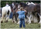 'Horse Marshall' by John Thompson ARPS EFIAP CPAGB 