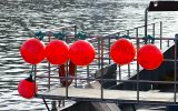 'Six Red Floats' by John Thompson ARPS EFIAP CPAGB 
