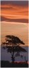 'Sunset Tree' by John Thompson ARPS EFIAP CPAGB 