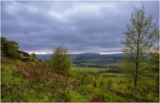 'View From Corby Crags' by John Thompson ARPS EFIAP CPAGB 