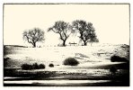 'Winter' by John Thompson ARPS EFIAP CPAGB 