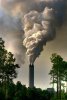 'Clean Coal' by Joseph Thompson