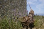 'Holy Island' by Judith Snaith