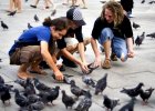 'In St. Mark's Square (1)' by Laine Baker