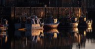 'Fishing Boats All In A Row' by Laine Baker