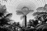 'Kibble Palace Glasshouse (1)' by Laine Baker