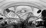 'Kibble Palace Glasshouse (3)' by Laine Baker