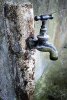 'Old Tap' by Laine Baker