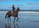 'Canterig On The Beach' by Malcolm Biles