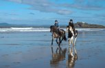 'Galloping On The Beach' by Malcolm Biles