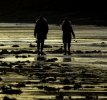 'Evening Walk' by Malcolm Biles