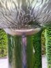 'Alnwick Garden' by Mike Nixon