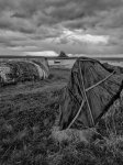 'Lindisfarne' by Nick Johnson