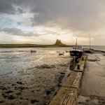 'Lindisfarne' by Nick Johnson