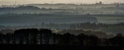 'Trees And Power Lines' by Nick Johnson