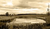 'Kirkharle Lake' by Pat Wood LRPS