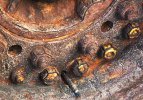 'Rusty Tractor Wheel (1)' by Pat Wood LRPS