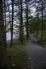 'Buttermere Path' by Paul Penman