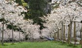 'Spring Time Swing Time' by Richard Stent LRPS