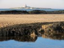 'Coquet Island From Hauxley' by Rosie Cook-Jury