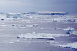 'Icebergs' by Stanley Trafford