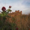 'Bamburgh' by Sue Baker