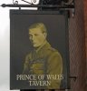 'Pub Sign, Tyne Riverside' by Tom Dundas