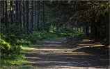 'The Pathway' by Tony Broom CPAGB