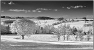 'Tree Line' by Tony Broom CPAGB