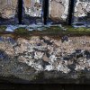 'Bottom Of The Door' by Valerie Atkinson