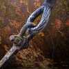 'Connected' by Valerie Atkinson